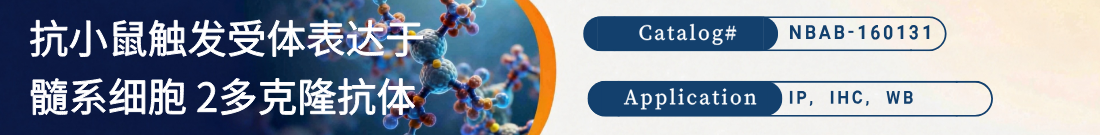 抗小鼠TREM2抗体