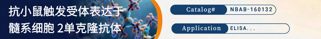 抗小鼠TREM2抗体