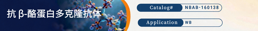 抗β-酪蛋白抗体