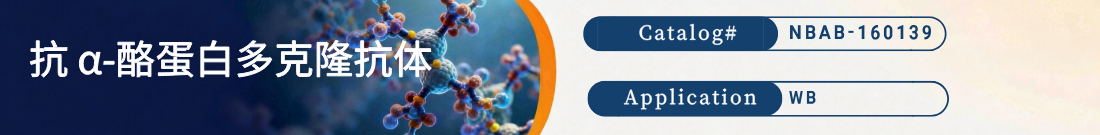 抗α-酪蛋白抗体