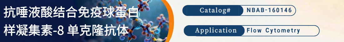 抗人 Siglec-8抗体
