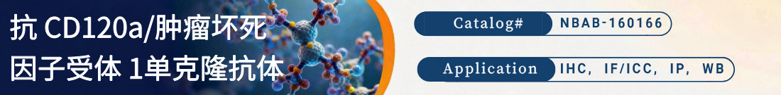 抗CD120a/肿瘤坏死因子受体 1抗体 抗CD120a/肿瘤坏死因子受体 1抗体