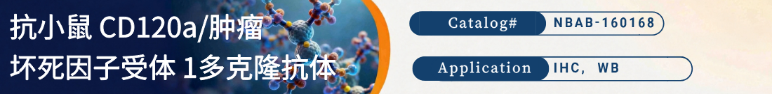 抗CD120a/TNFR1抗体 抗CD120a/TNFR1抗体