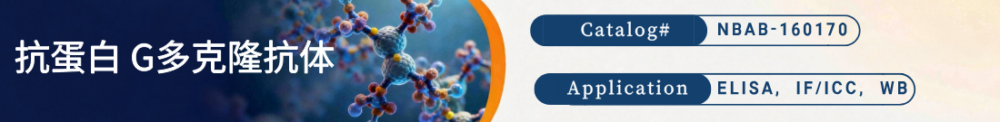 抗Protein G抗体