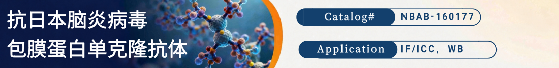 抗日本脑炎病毒包膜蛋白抗体 抗日本脑炎病毒包膜蛋白抗体