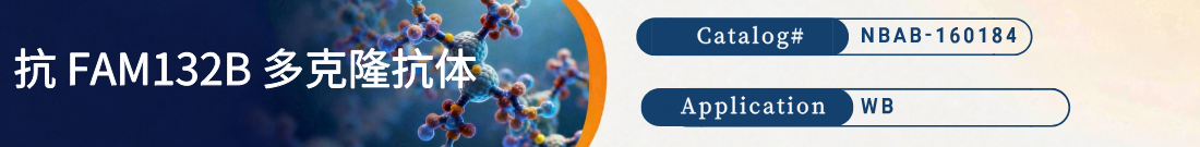 抗FAM132B抗体 抗FAM132B抗体