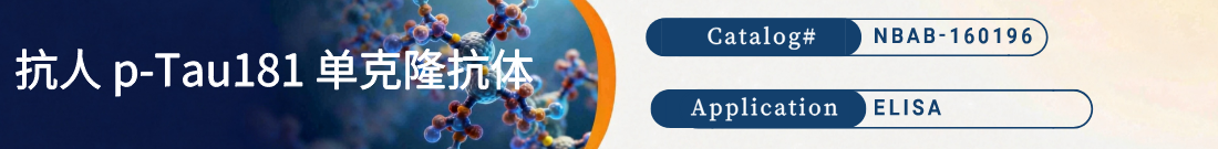 抗p-Tau181抗体 抗p-Tau181抗体