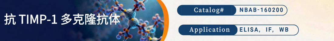 抗TIMP-1抗体 抗TIMP-1抗体