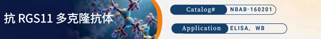 抗RGS11抗体 抗RGS11抗体