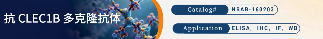 抗CLEC1B抗体