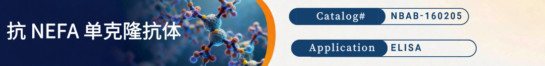 抗NEFA抗体 抗NEFA抗体