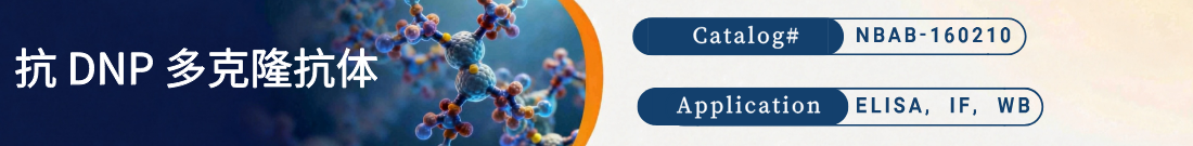 抗DNP抗体