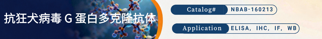 抗狂犬病毒 G 蛋白抗体