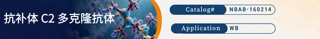抗补体C2抗体