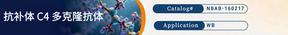 抗补体C4抗体