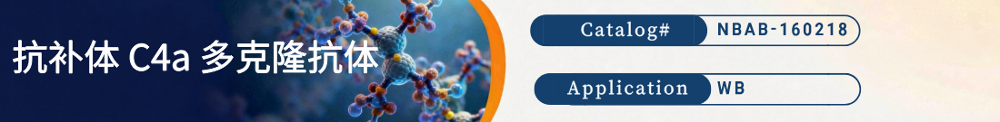 抗补体C4a抗体