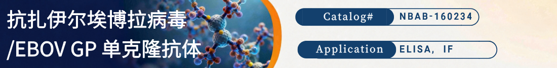 抗EBOV GP抗体