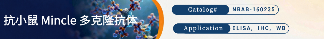 抗小鼠 Mincle 抗体