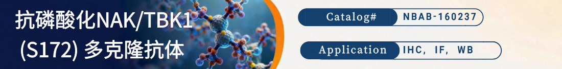 抗磷酸化NAK/TBK1 (S172) 抗体