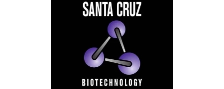 Santa Cruz Biotechnology Santa Cruz Biotechnology