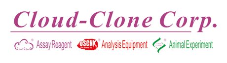 Cloud-Clone Cloud-Clone