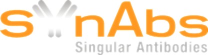 SYnAbs SYnAbs