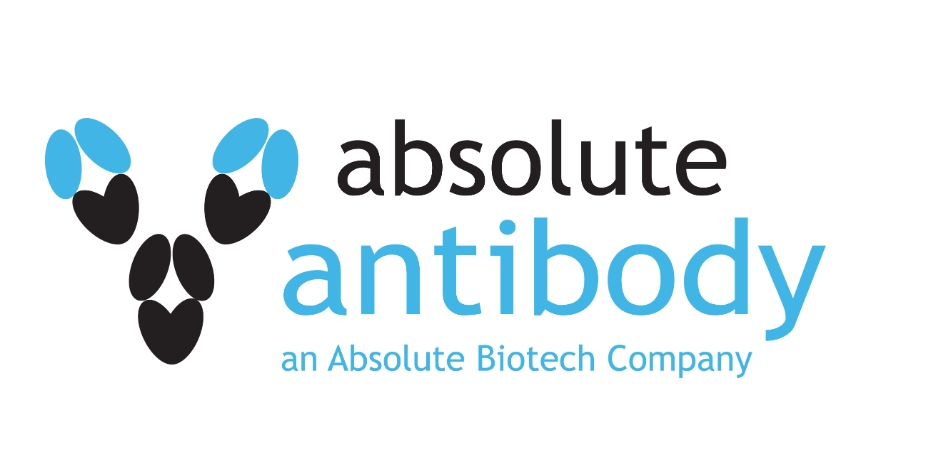 Absolute Antibody Absolute Antibody