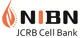 6a2285f703b69.png images.png