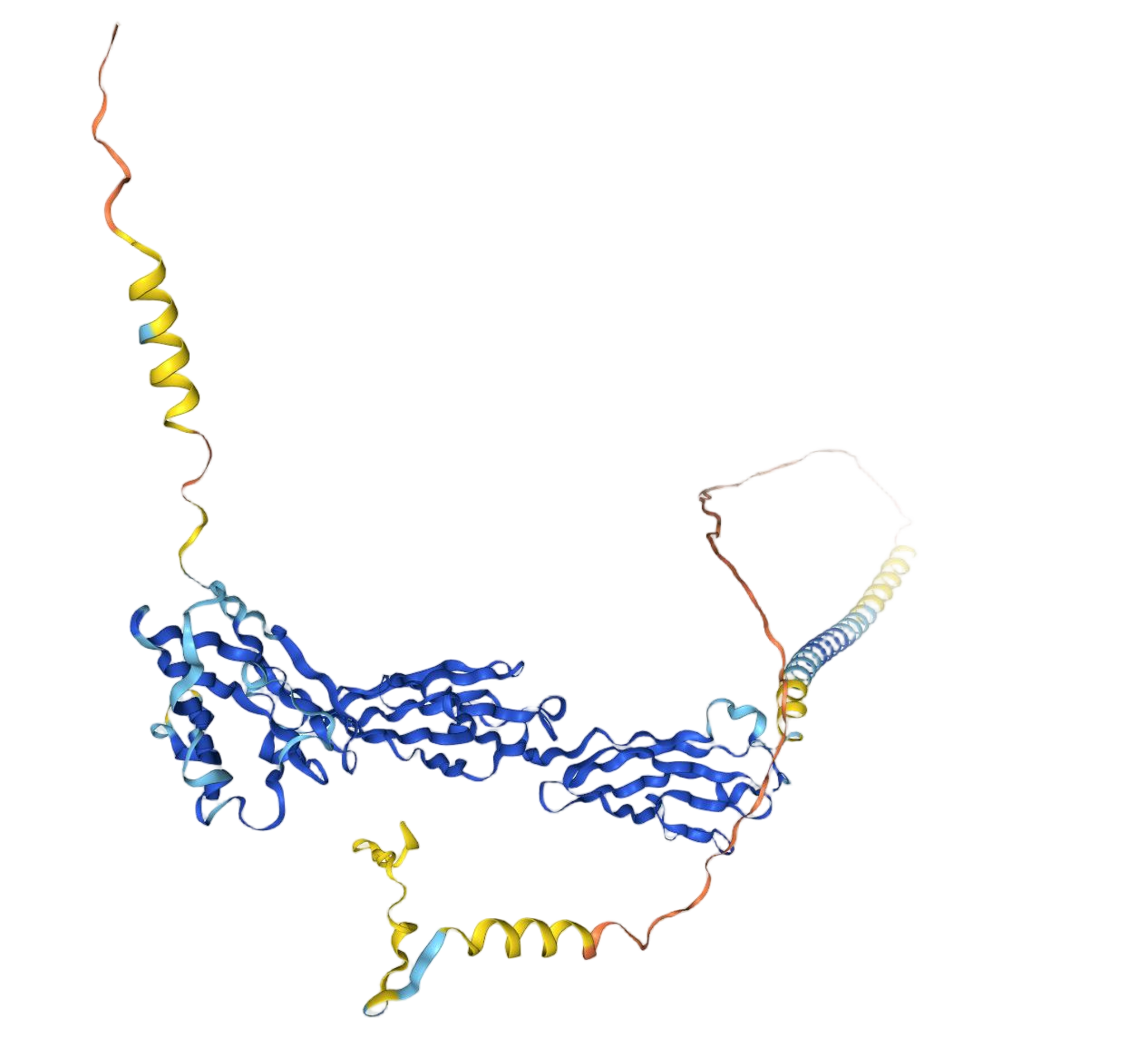 6a8be7fc79c12.png NBST-241002 Nectin-4.png
