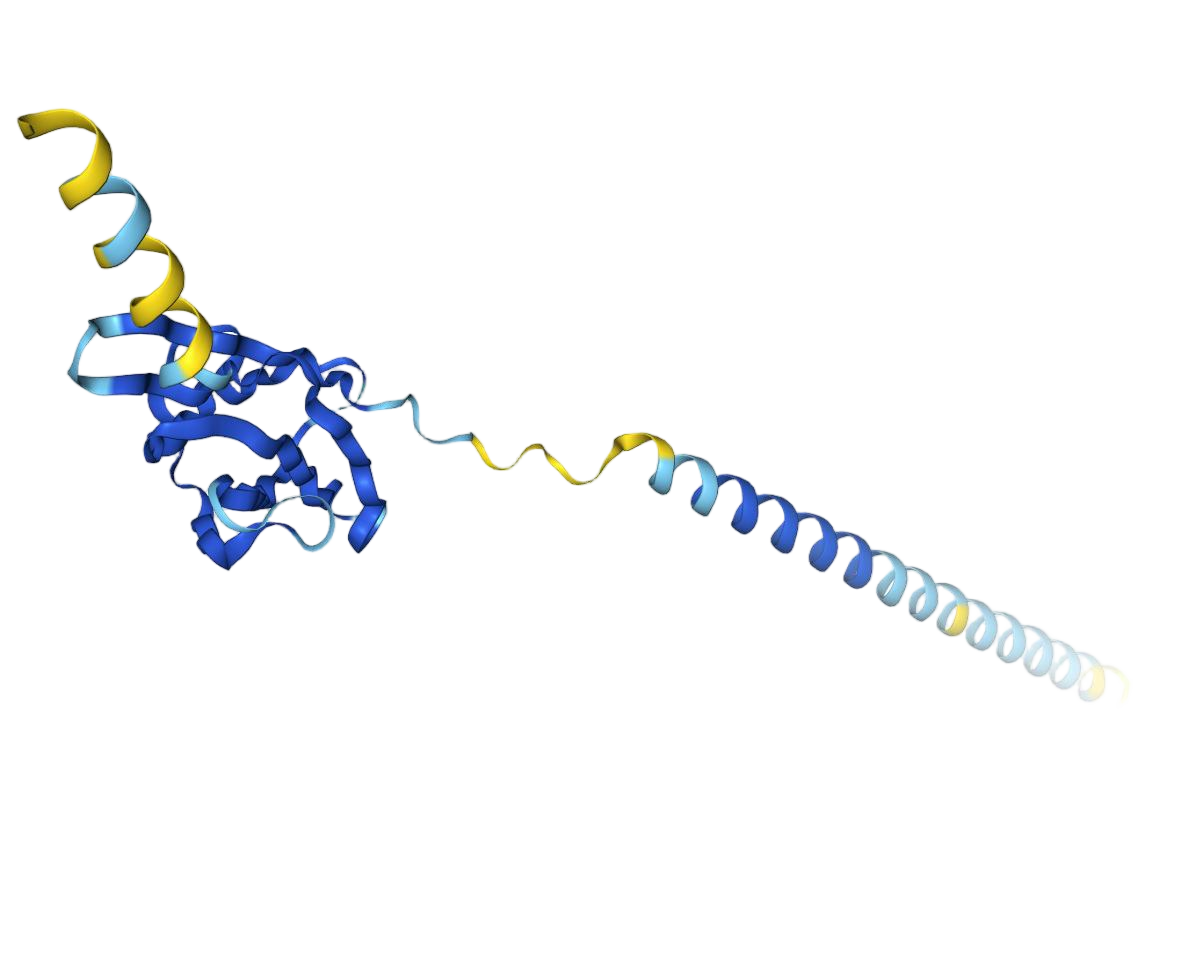 CD274 molecule CD274 molecule