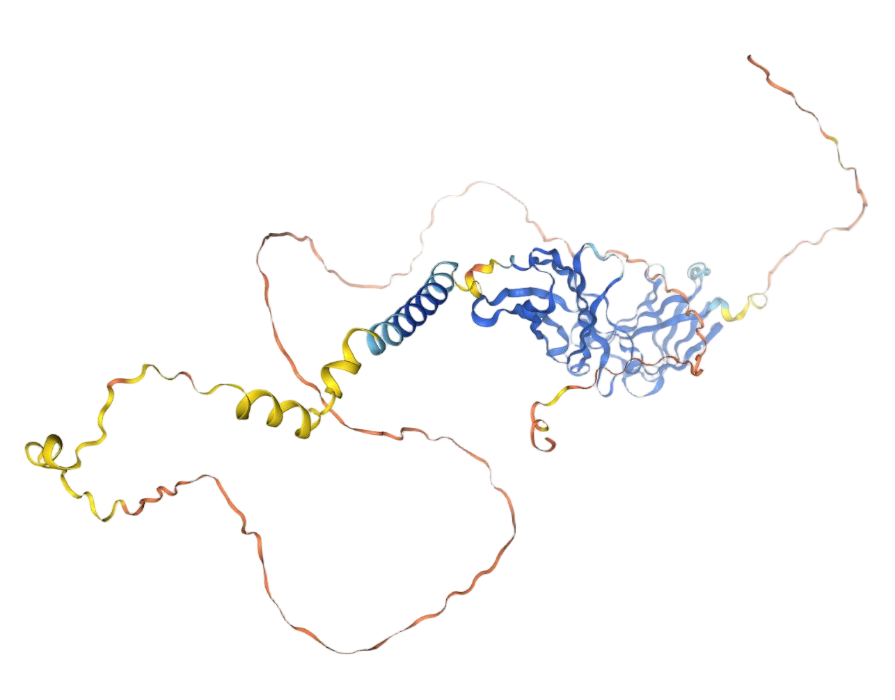 Interleukin 7 receptor