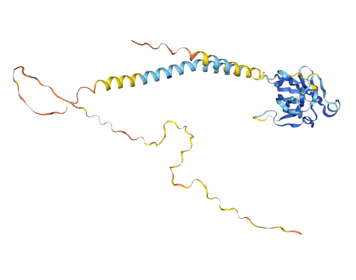 B7-H5 B7-H5