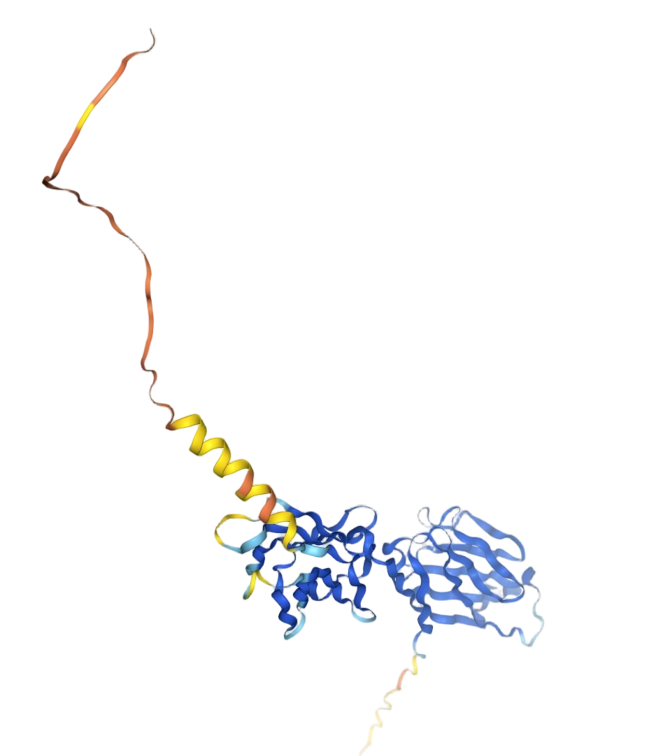 CD86 molecule CD86 molecule