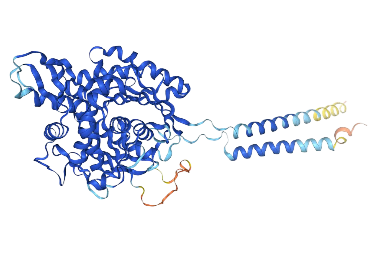 ENTPD1