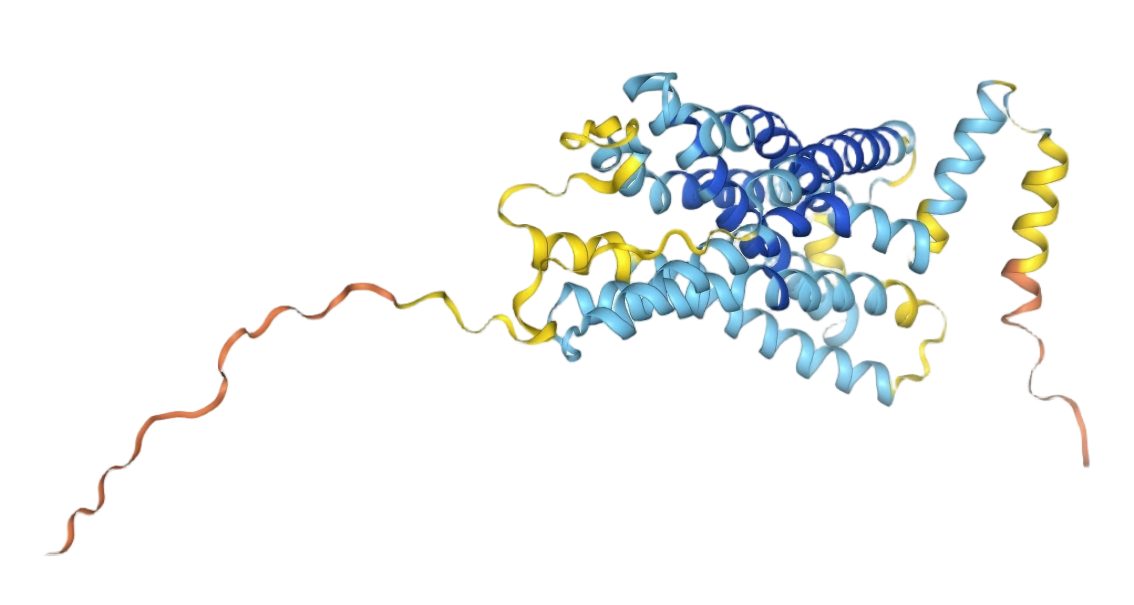 CXCR1