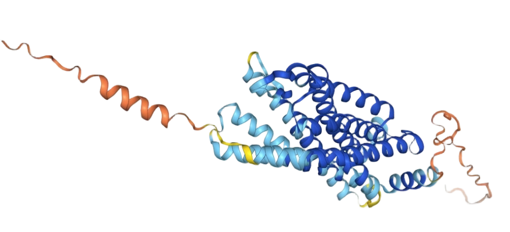 CCR4