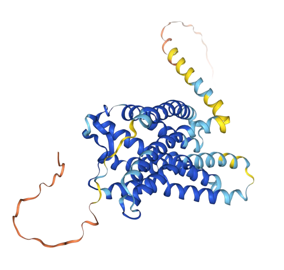 CXCR4
