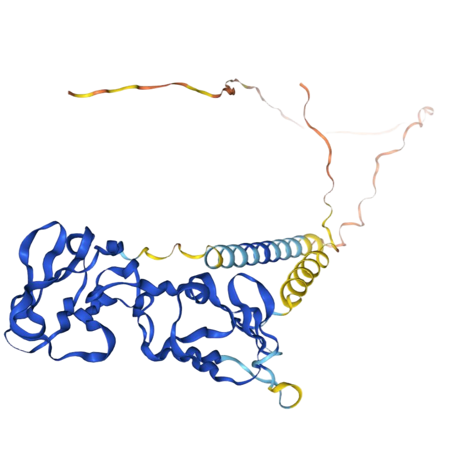 CD32
