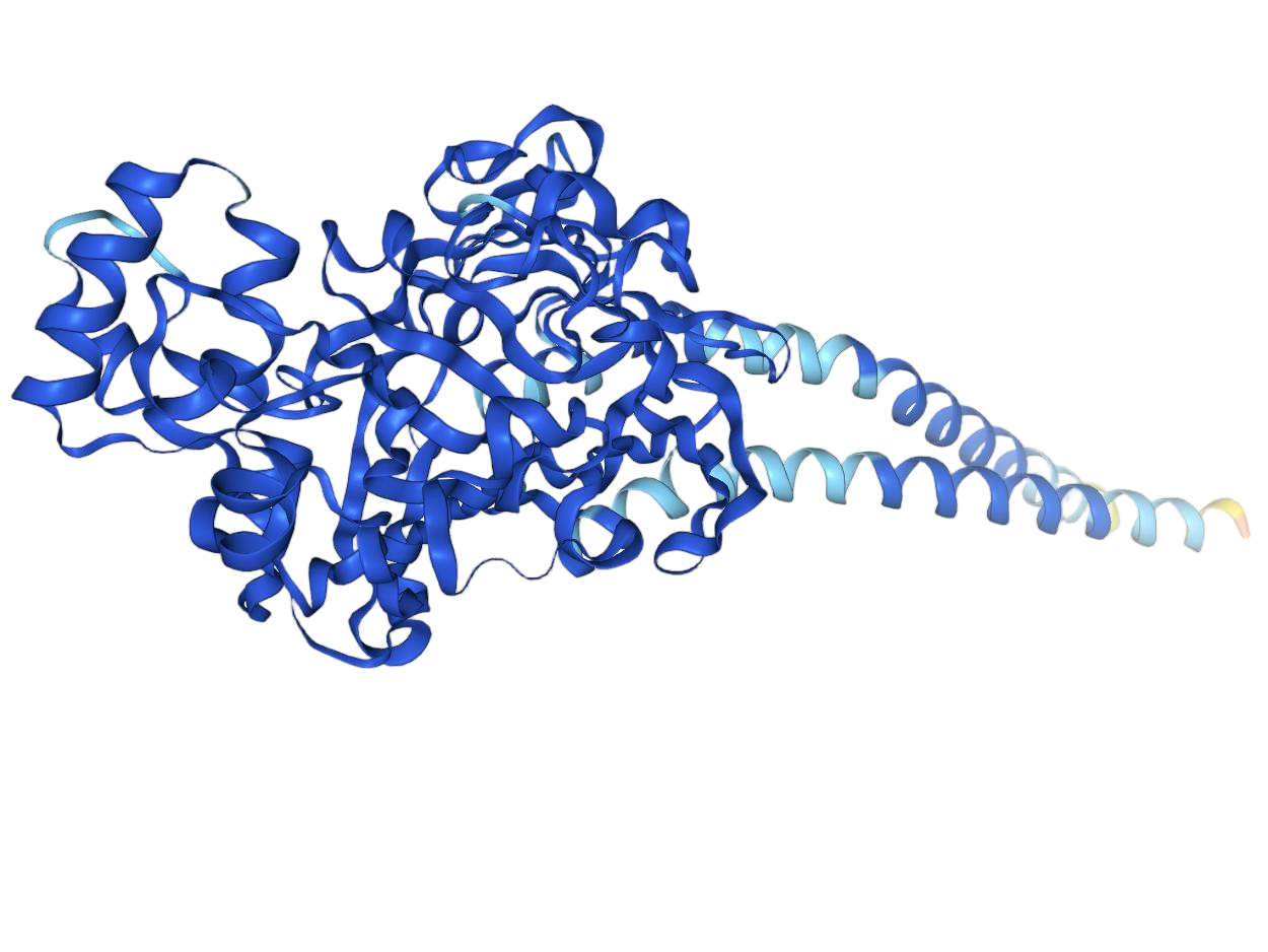 CD36