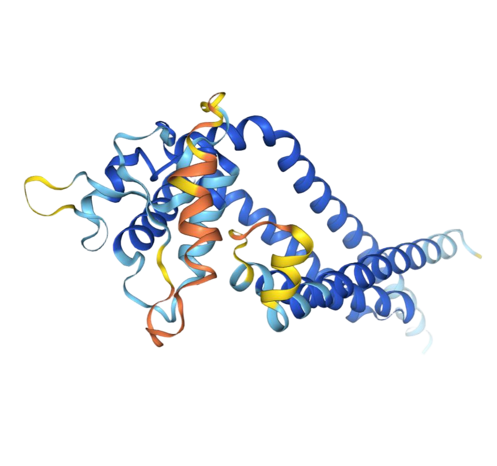 CD37