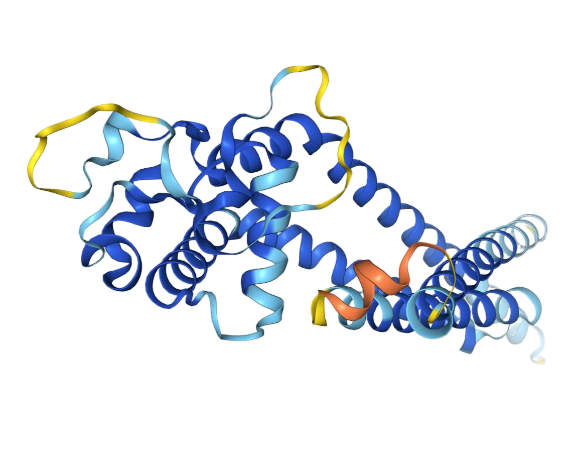 CD82 CD82