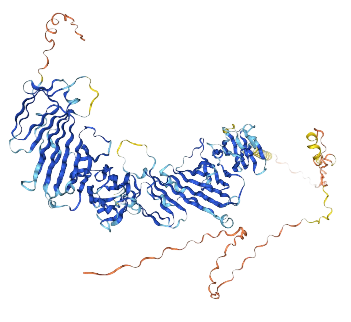 CDCP1 CDCP1