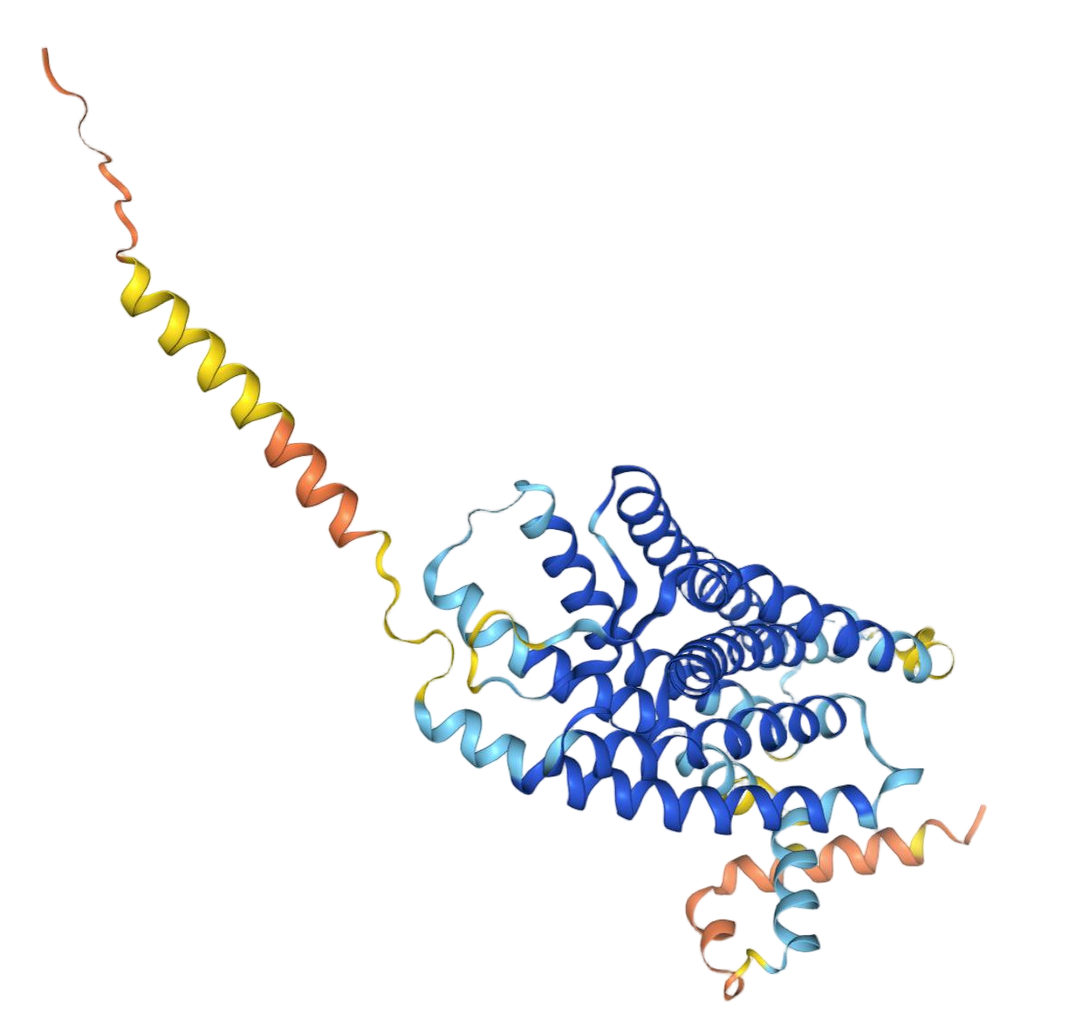 CXCR5 CXCR5