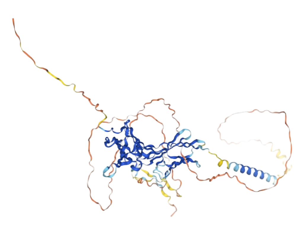 IFNGR1
