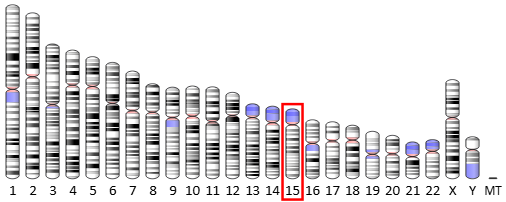 6a98d2ef41c98.png d0c019f6-986a-47ee-b795-f119c00b2d5e.png