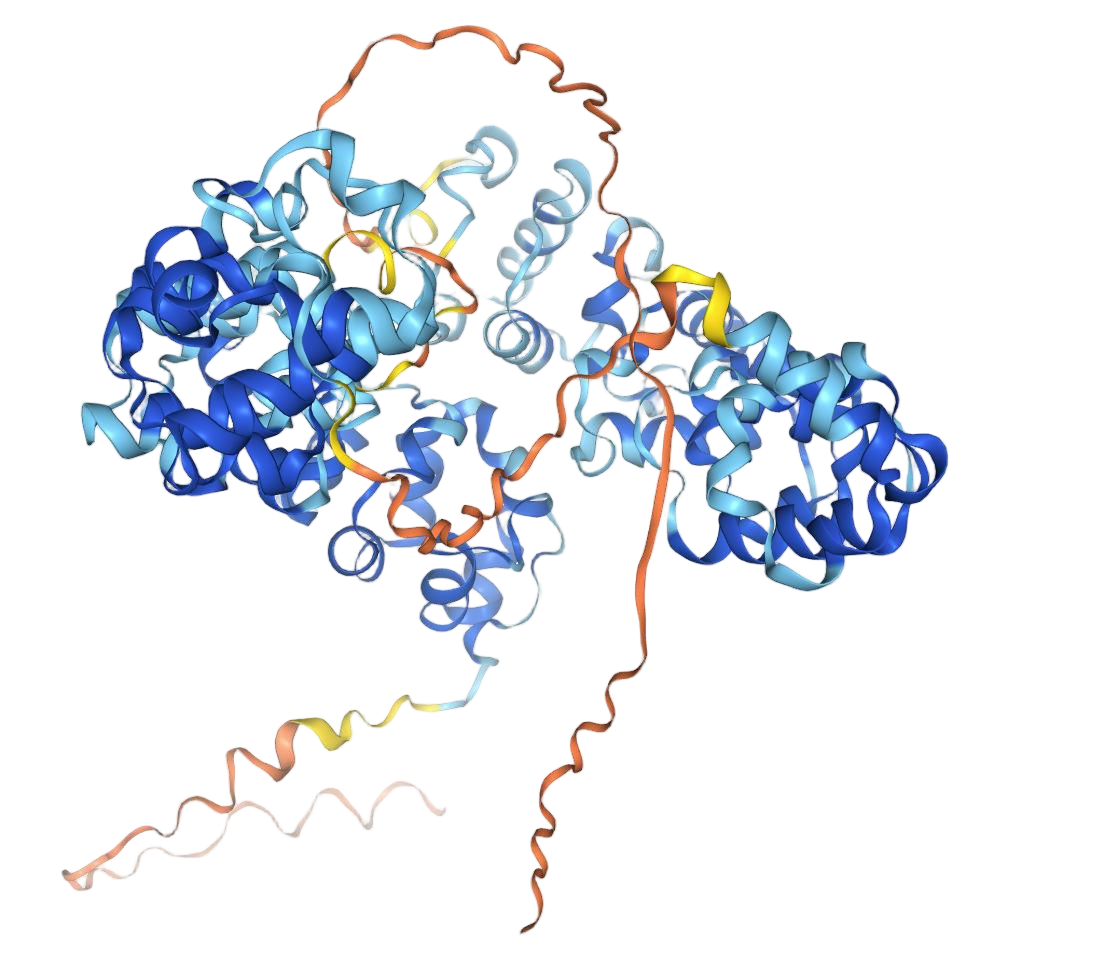 Mesothelin Mesothelin