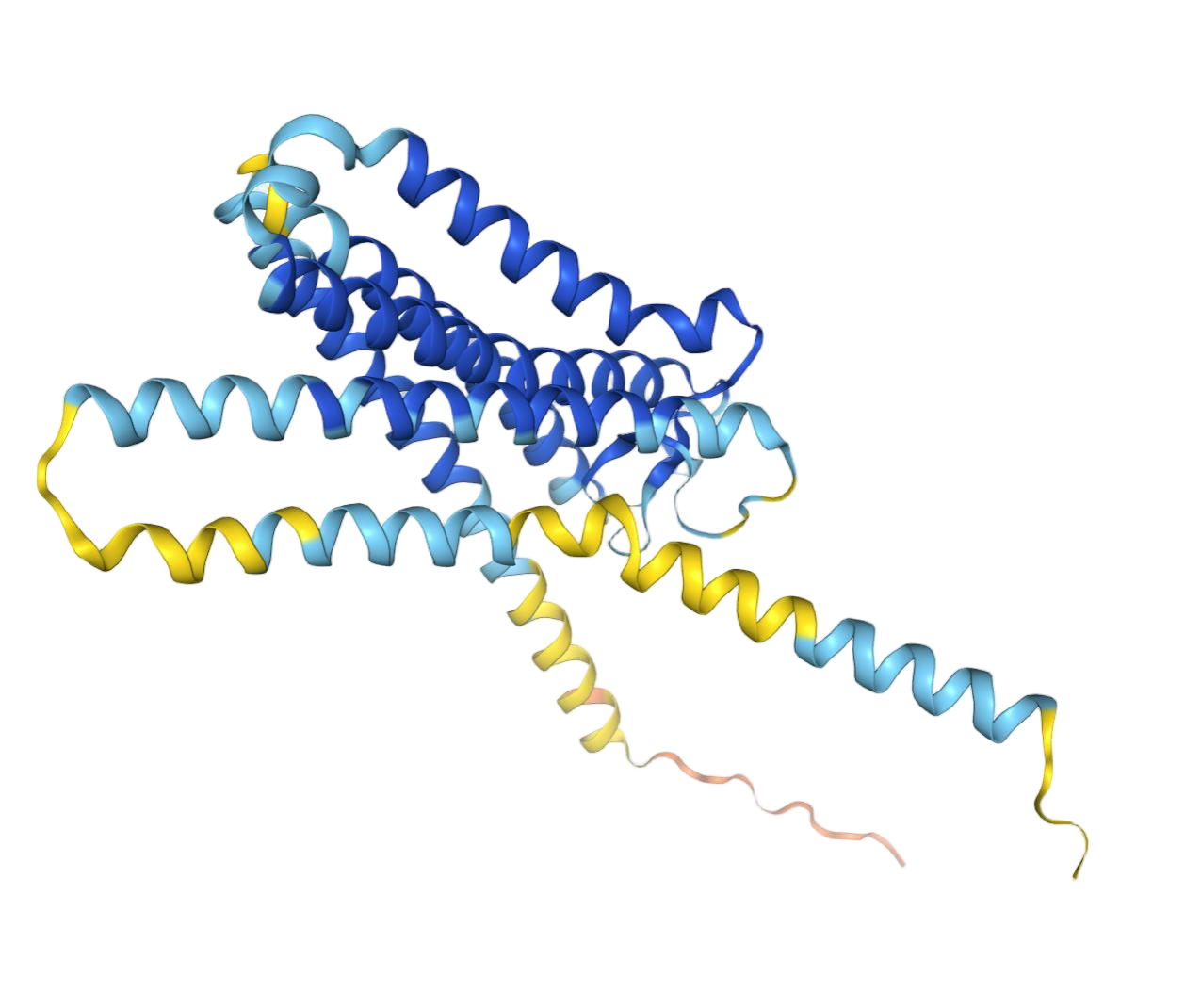 PTGFR PTGFR