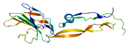 6a9a41f5b1cc9.png Protein_TGFBR2_PDB_1ktz.png