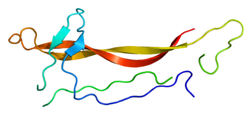 NT3