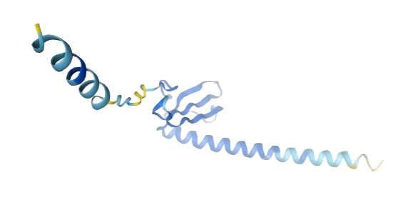 CXCL9